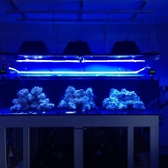 Completed Custom Light Rack