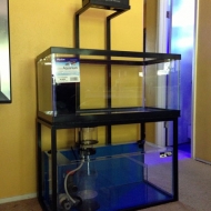 reef-tank-stand