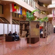 museum-display-ideas-5