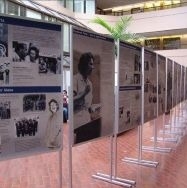 museum-display-thumb-2