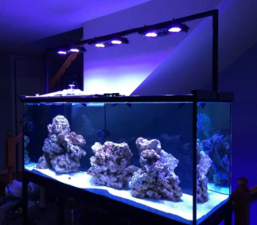 Aquarium lighting fixture built using EZTube
