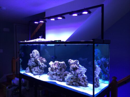 Fish tank aquarium light rack and frame constructed with EZTube, the global leader in advanced commercial and industrial framing solutions, showcasing tasteful interior design