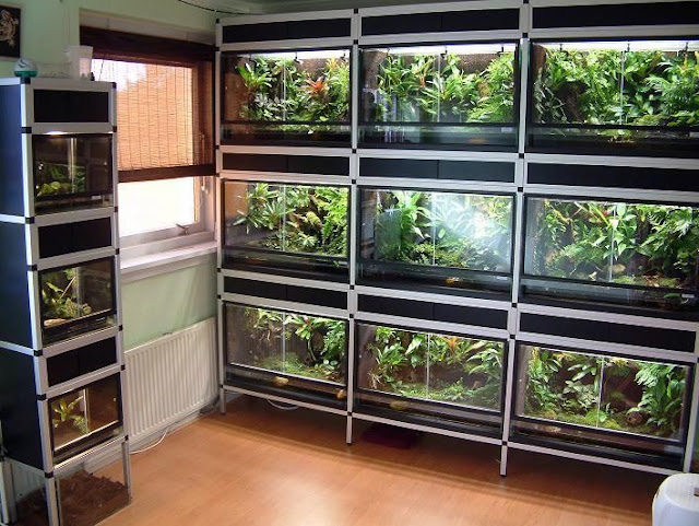 Not Ours Frogroom, Netherlands, uses EZTube for aquatic and botanical frames