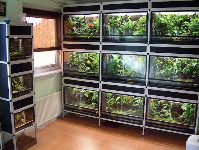 Elevate Your Green Oasis with EZTube: The Perfect Solution for Plant Shelves, Racks, and Holders