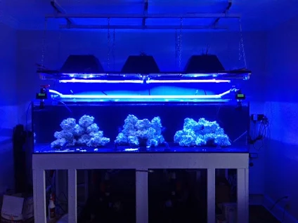 EZTube light fixture for use in aquariums