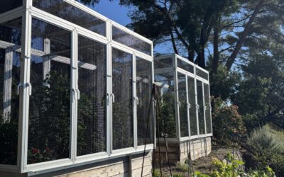 Build Anything: How EZTube Is Helping Customers Create Garden Enclosures